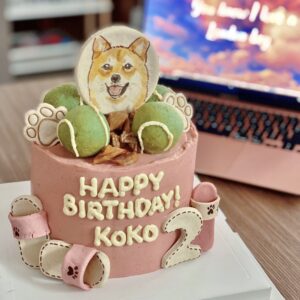 Dog Cake Large