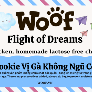 Flight Of Dreams